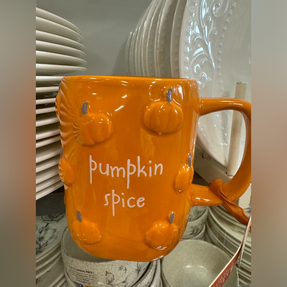 Pumpkin Spice Orange Rae Dunn Mug